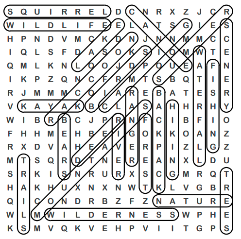 Camping Word Search 3 Solution