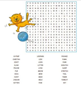 cat word search