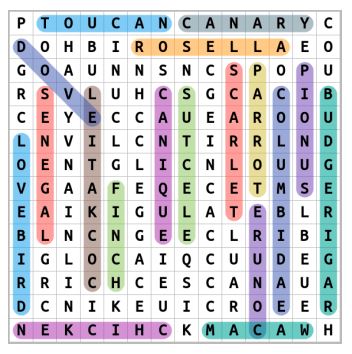 Pet Bird Names Word Search Solution