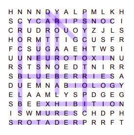 Zootopia conspiracy word search solution