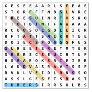 Classification Of Vegetables Word Search Solution