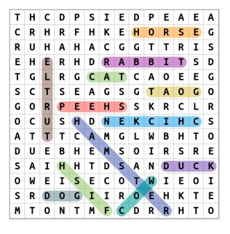 Pet Animals Word Search Solution