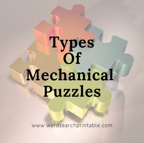 Types Of Mechanical Puzzles