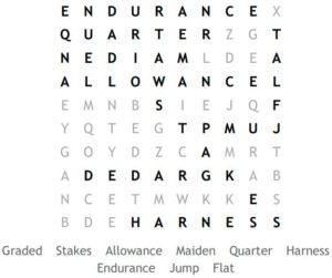 Types of Horse Racing Word Search Solution