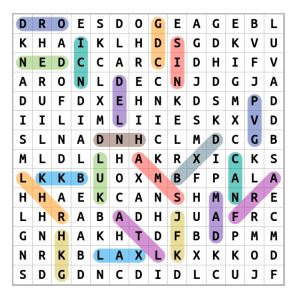 Airport Codes Word Search Solution