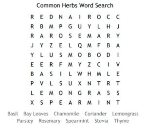 Common Herbs Word Search