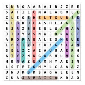 New York City Word Search Puzzle Solution