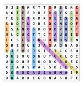 Girl Scout Word Search Puzzle Answers