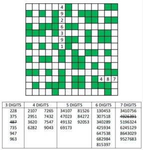 Medium Number Fill in puzzle 3