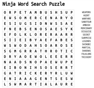 Ninja Word Search Puzzle 