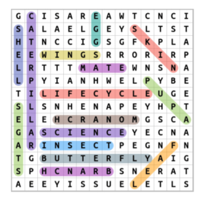 Butterfly Word Search Answers