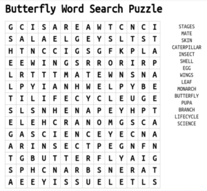 Butterfly Word Search 