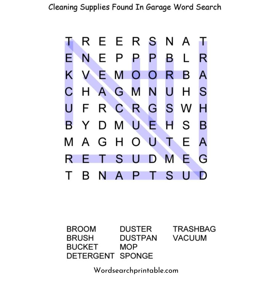 Cleaning supplies found in garage word search puzzle solution