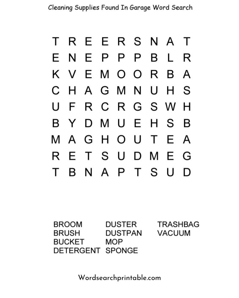 Cleaning supplies found in garage word search puzzle
