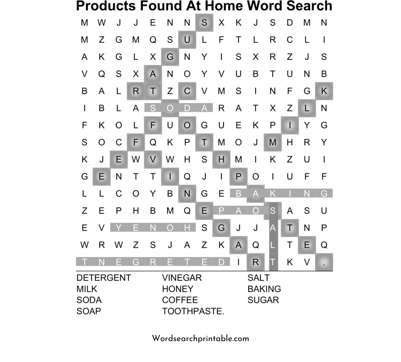 products at home word search puzzle